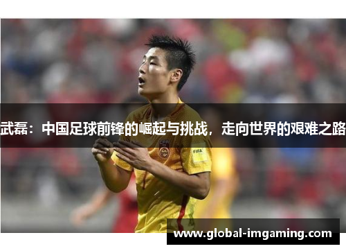 武磊：中国足球前锋的崛起与挑战，走向世界的艰难之路