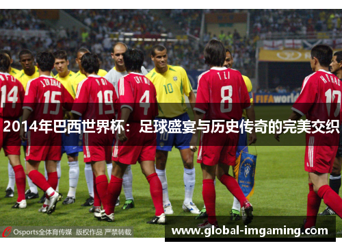 2014年巴西世界杯：足球盛宴与历史传奇的完美交织